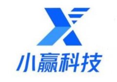 <b>注册蓝冠官方小赢科技2019年财报：营收30.88亿 净</b>