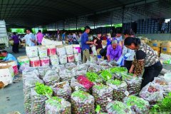 <b>蓝冠首页广西凭祥综合保税区多措并举扶持跨境</b>