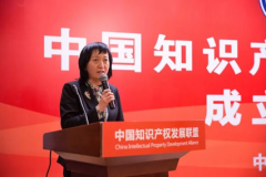 <b>蓝冠代理开户国务院关于新形势下加快知识产权</b>