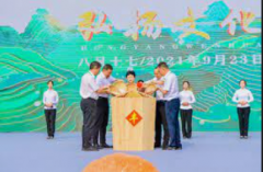 <b>蓝冠注册中国传统文化元素融入游戏受热捧：墙</b>