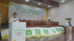 <b>蓝冠注册2022年横州市第一季甜玉米产销对接会在</b>